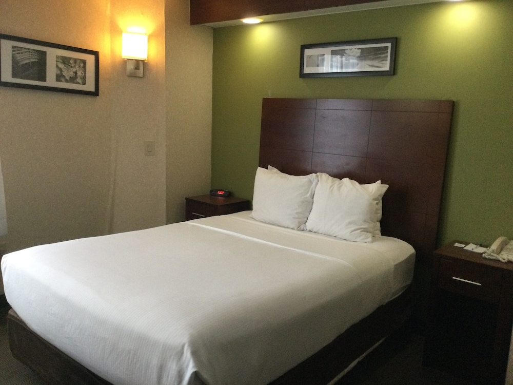 Baymont By Wyndham Flat Rock 14/49