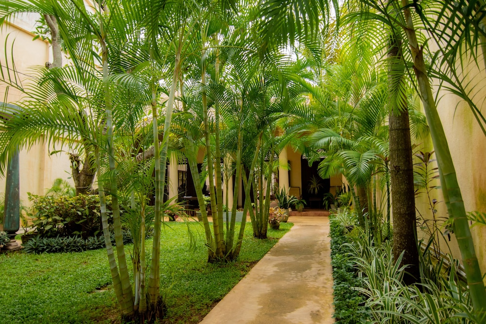 Mango House 3/71