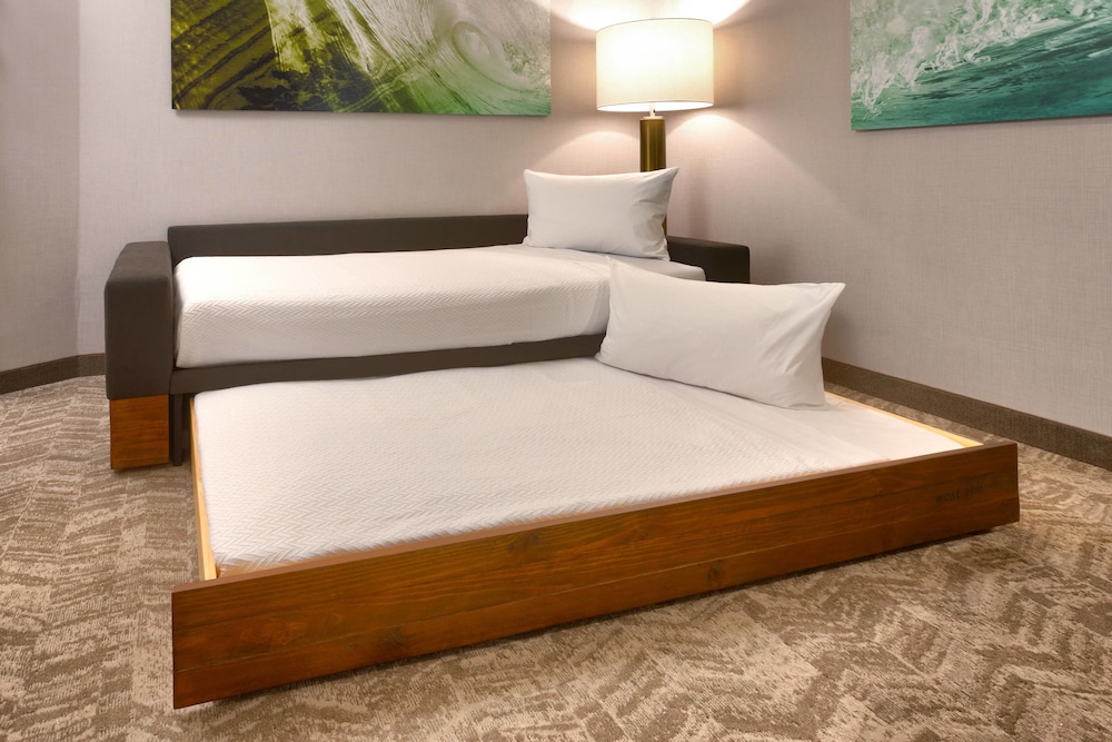 SPRINGHILL SUITES IDAHO FALLS 12/34