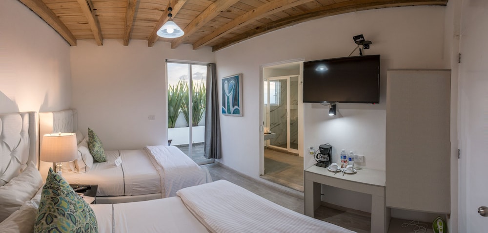 M Hoteles Concepto Ex Mlm Boutique Hotel 12/34