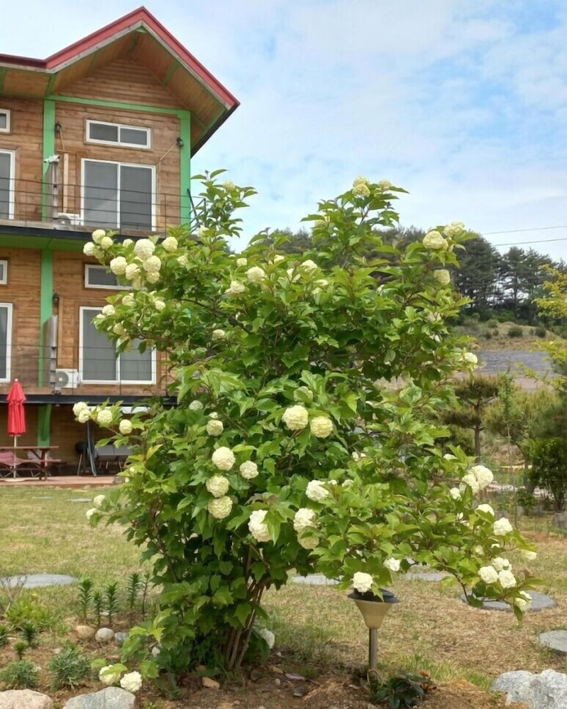 Daegwanryeong Genie House 27/27