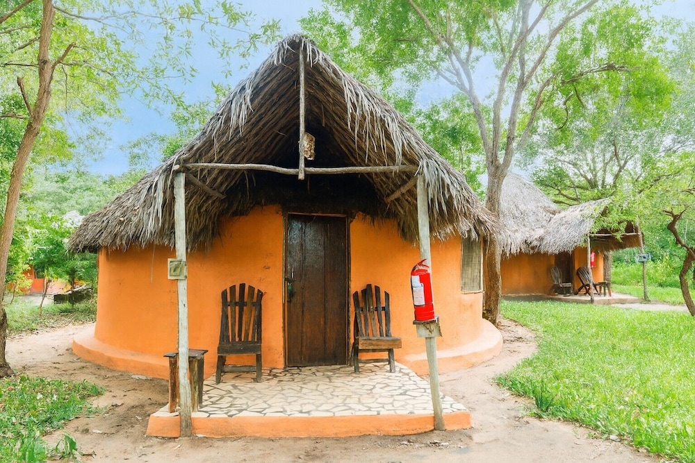 Africa Safari Camp 41/50