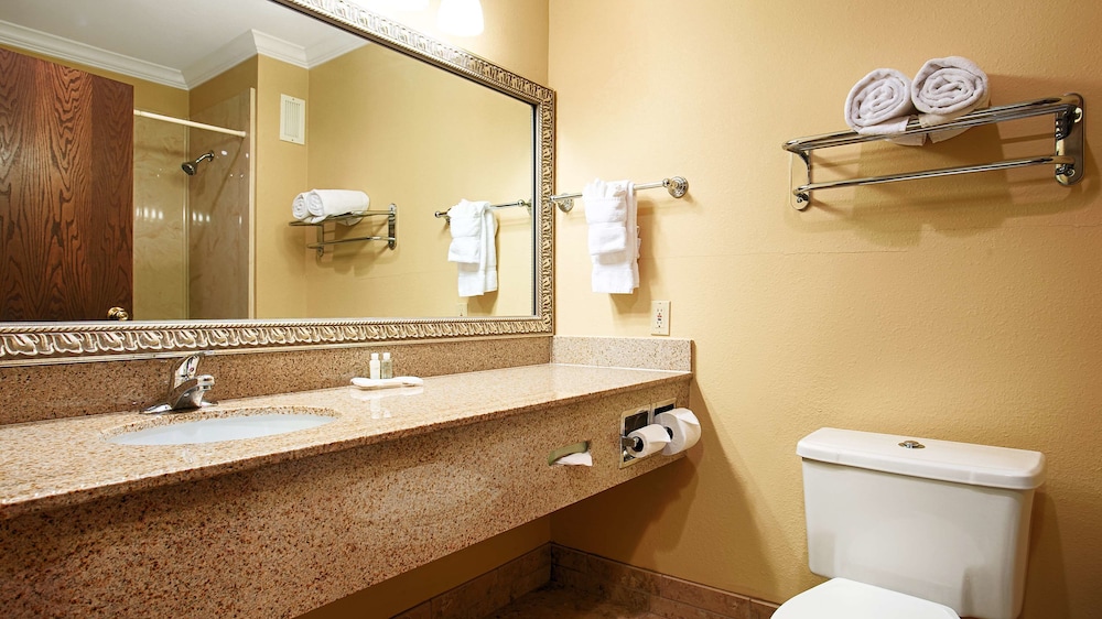 Best Western Plus Southpark Inn & Suites 15/39
