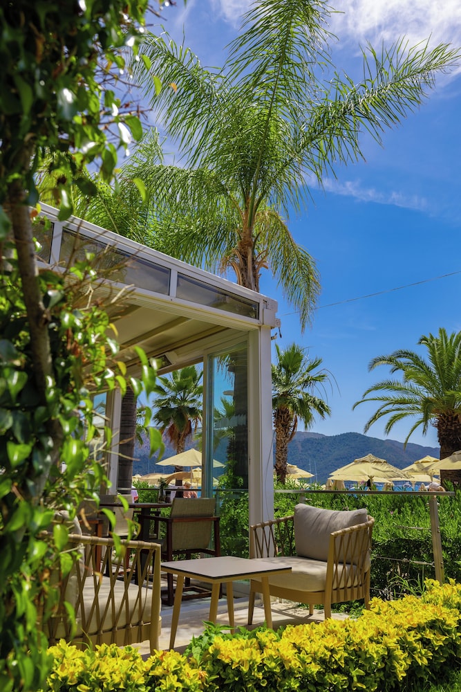 The Beachfront Hotel - Adults Only +16 48/49
