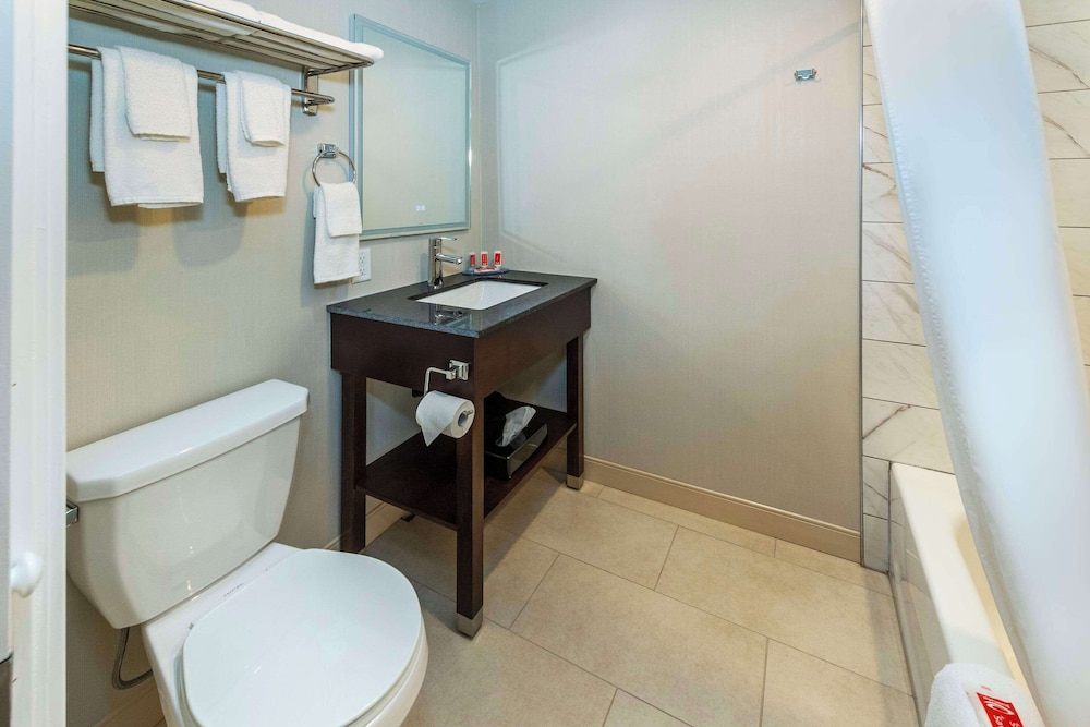 Efficiency, King Bed، Econo Lodge Inn & Suites Pincher Creek 4/4