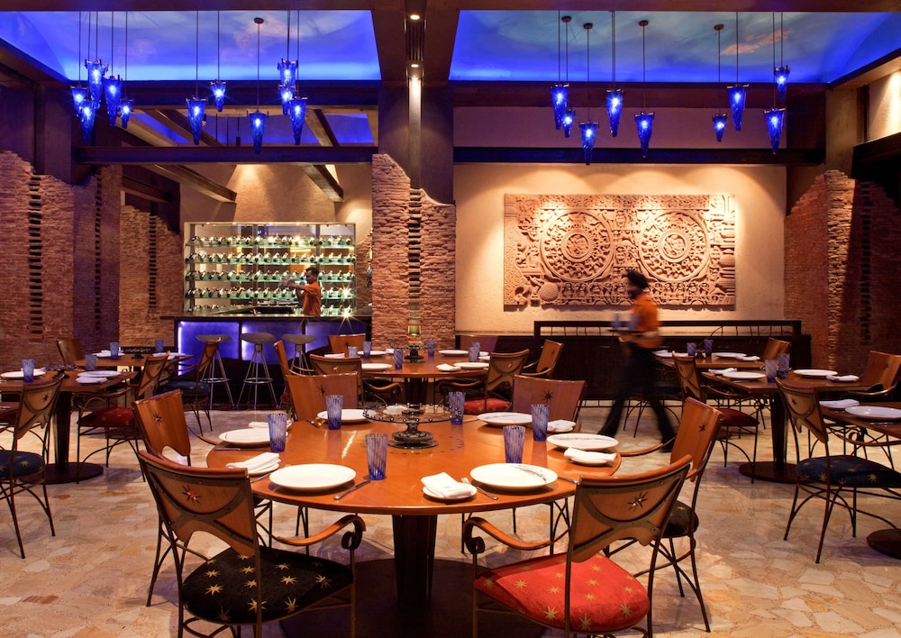 Radisson Blu Plaza Hotel Delhi Airport 58/76