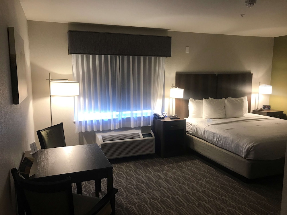 Best Western North Phoenix Hotel 23/76