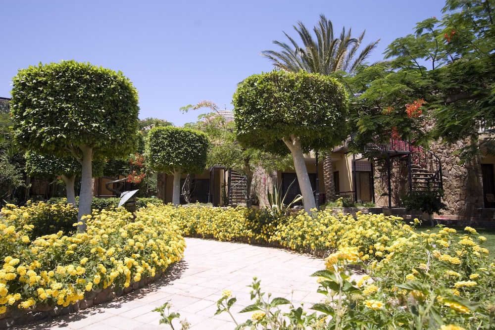 Ananea Hurghada 43/50
