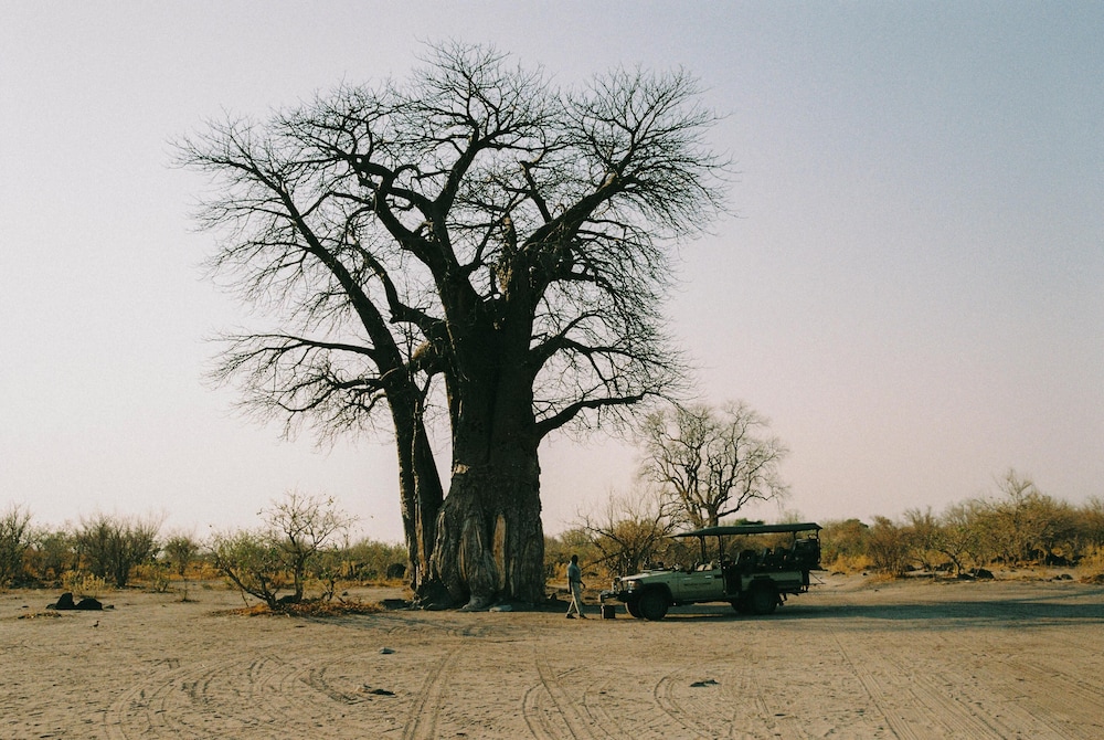 Belmond Safaris 39/49