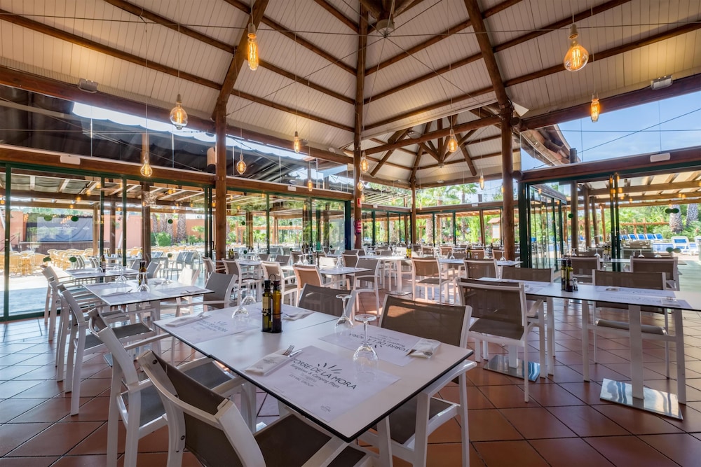 Camping Torre de la Mora 36/50