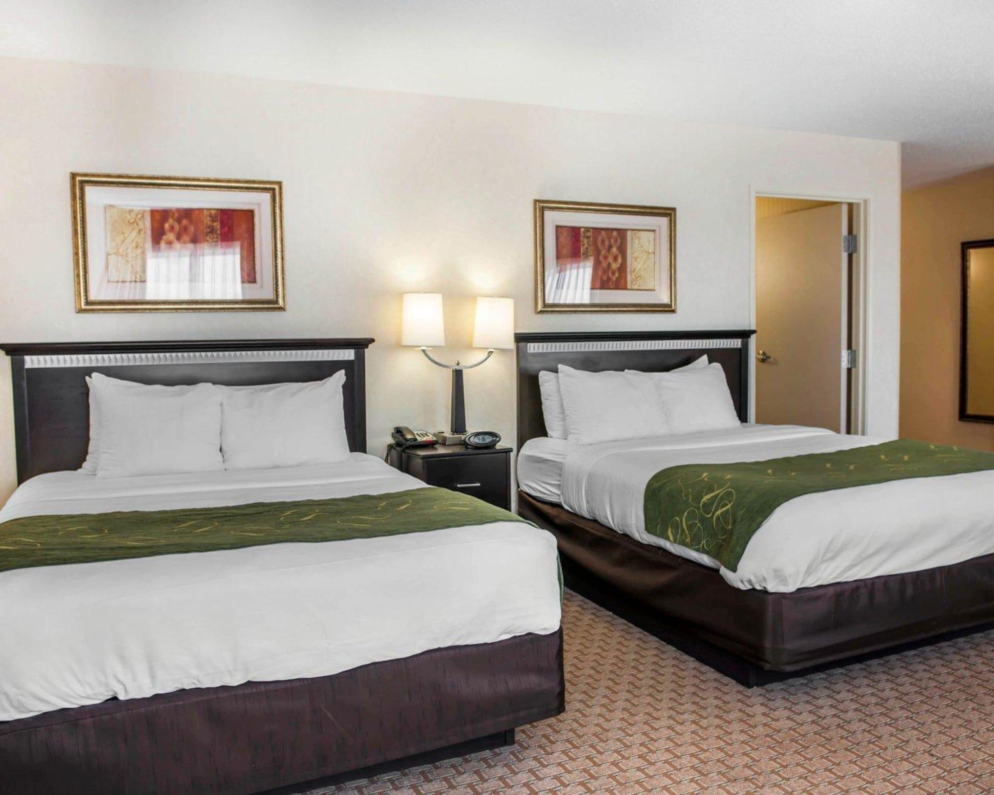 Suite, Multiple Beds, Accessible