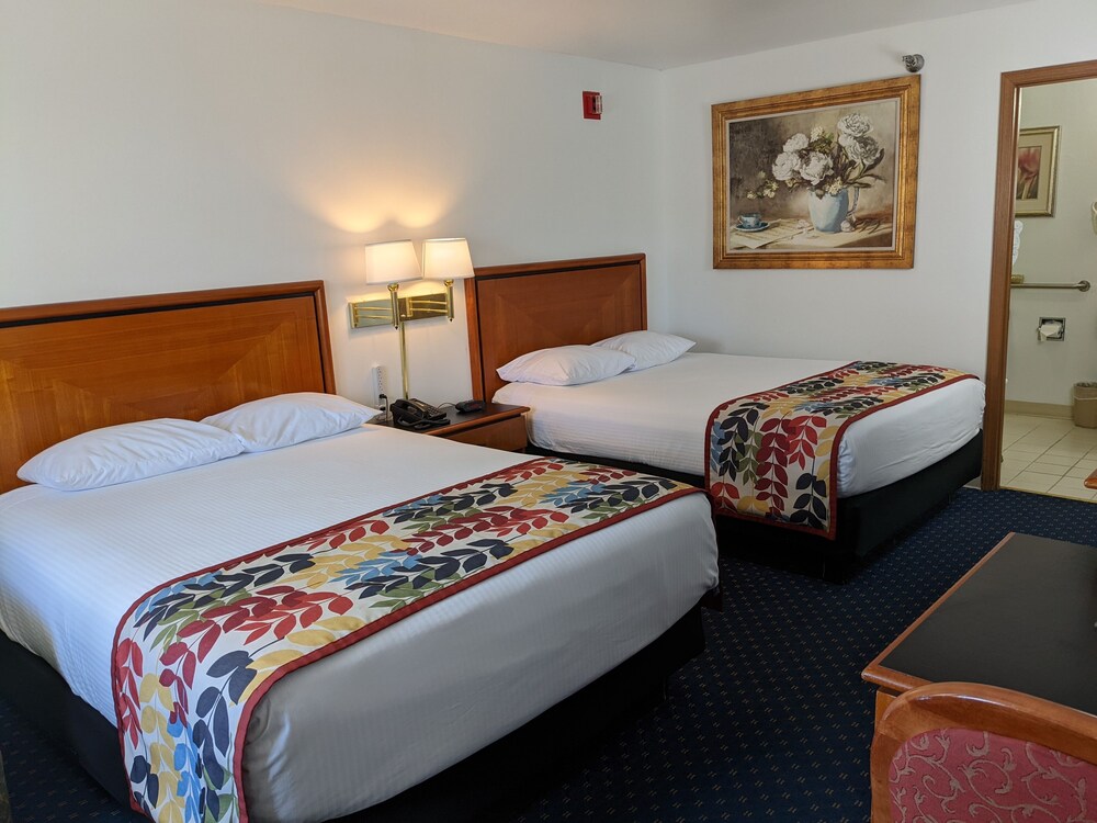 STANDARD, 2 QUEEN BEDS