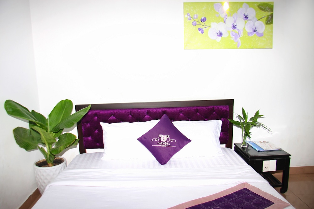 Carnosa Hotel 28/65