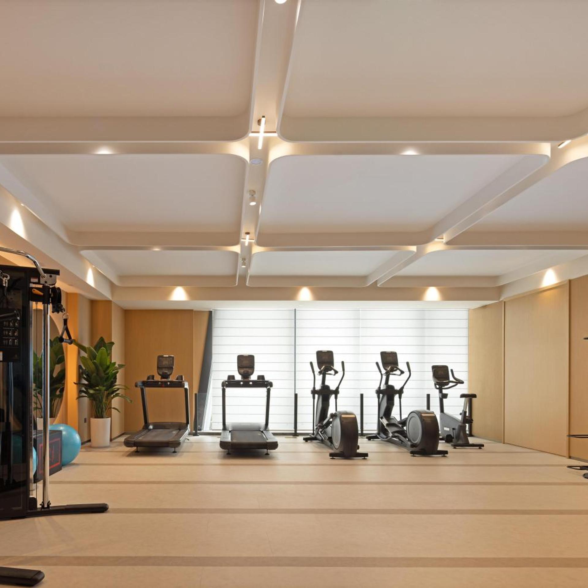 Hilton Garden Inn Zhengzhou Airport Aerotropolis 26/50