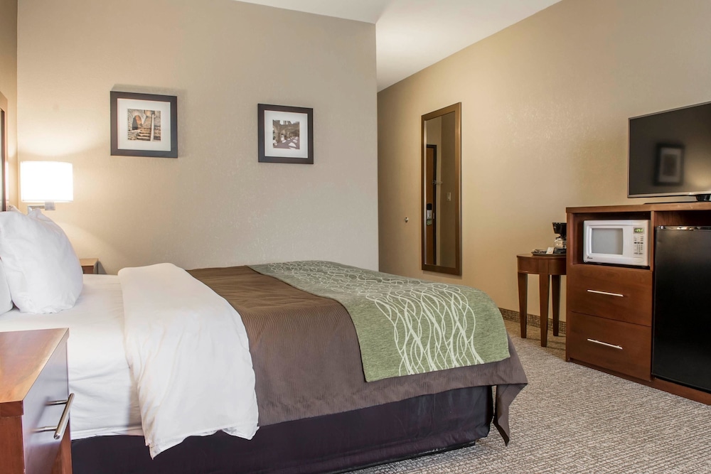 Comfort Inn Edinburg South Texas 10/46