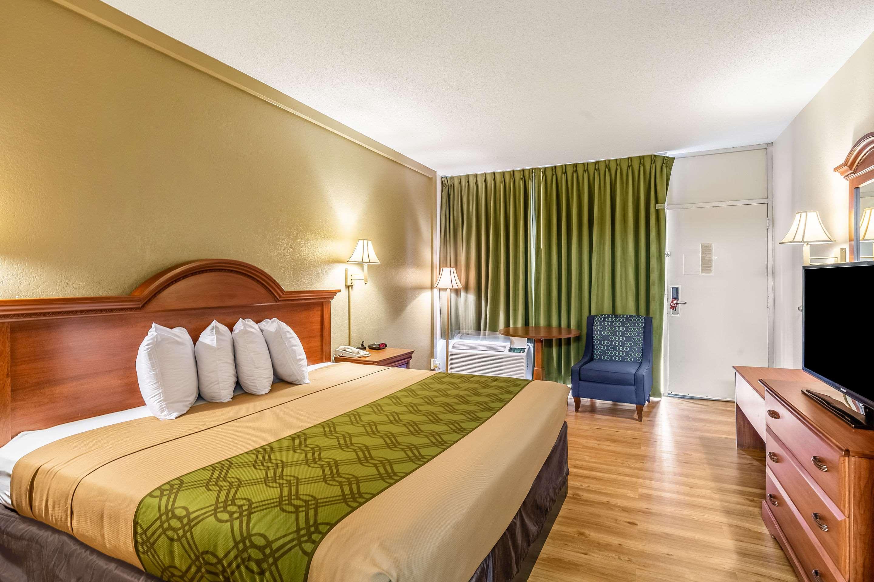 Room, King Bed