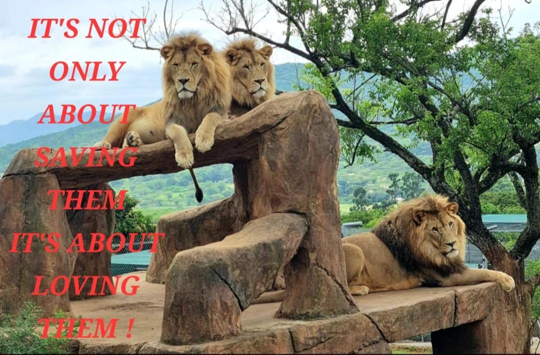 Pumbaa Wildlife Park and Accommodation 23/38