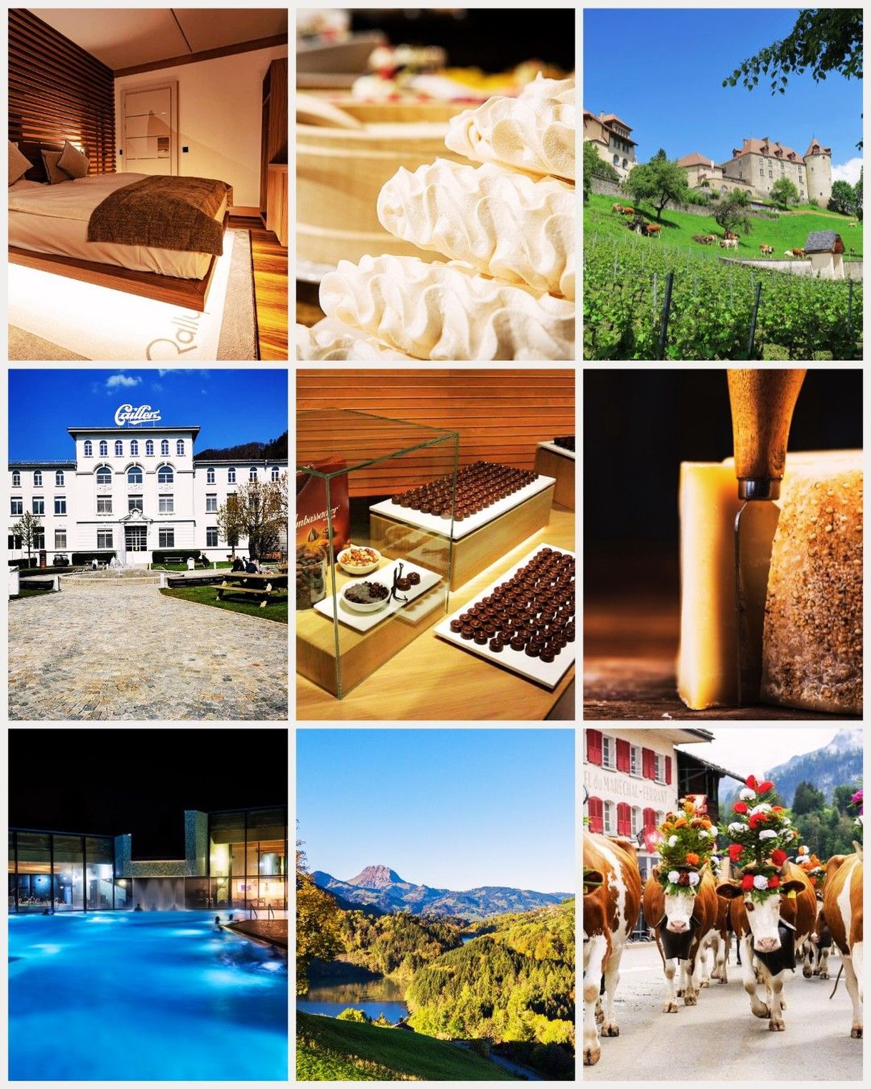 Hotel Rallye & Entrees aux Bains de la Gruyere 21/27
