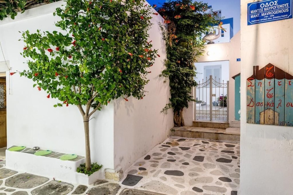 Pelican Paros 38/50