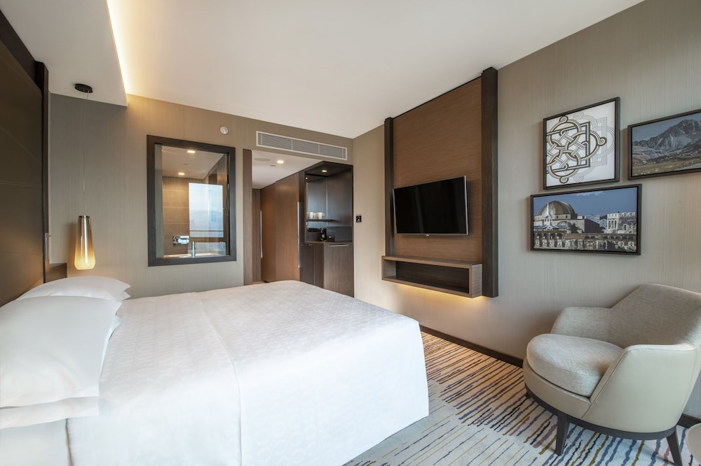 Sheraton Grand Tbilisi Metechi Palace 25/88