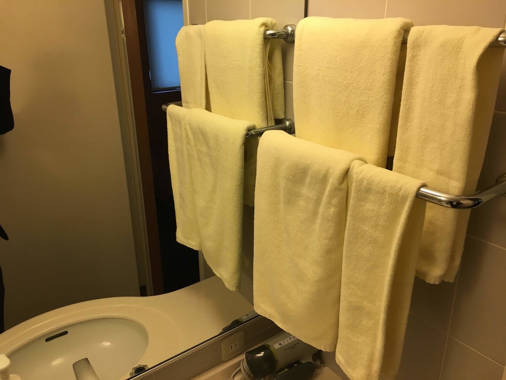 Kashiwa Plaza Hotel 13/29
