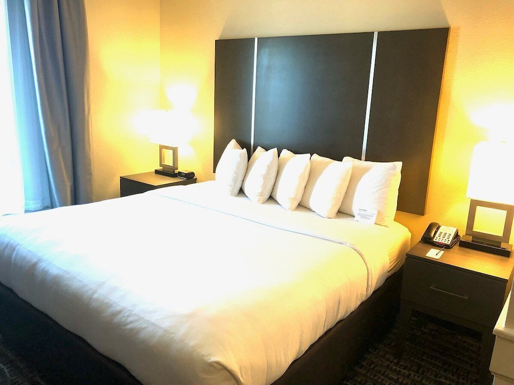 Comfort Suites Near Sam Houston Race Park photo5