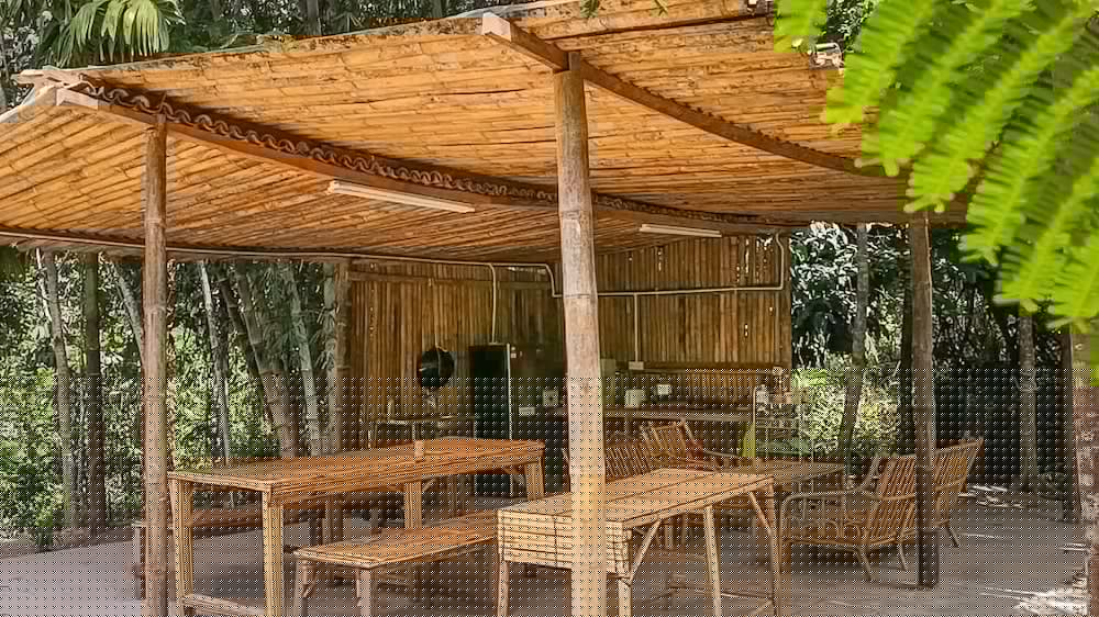 Rain Forest Inn 9/66