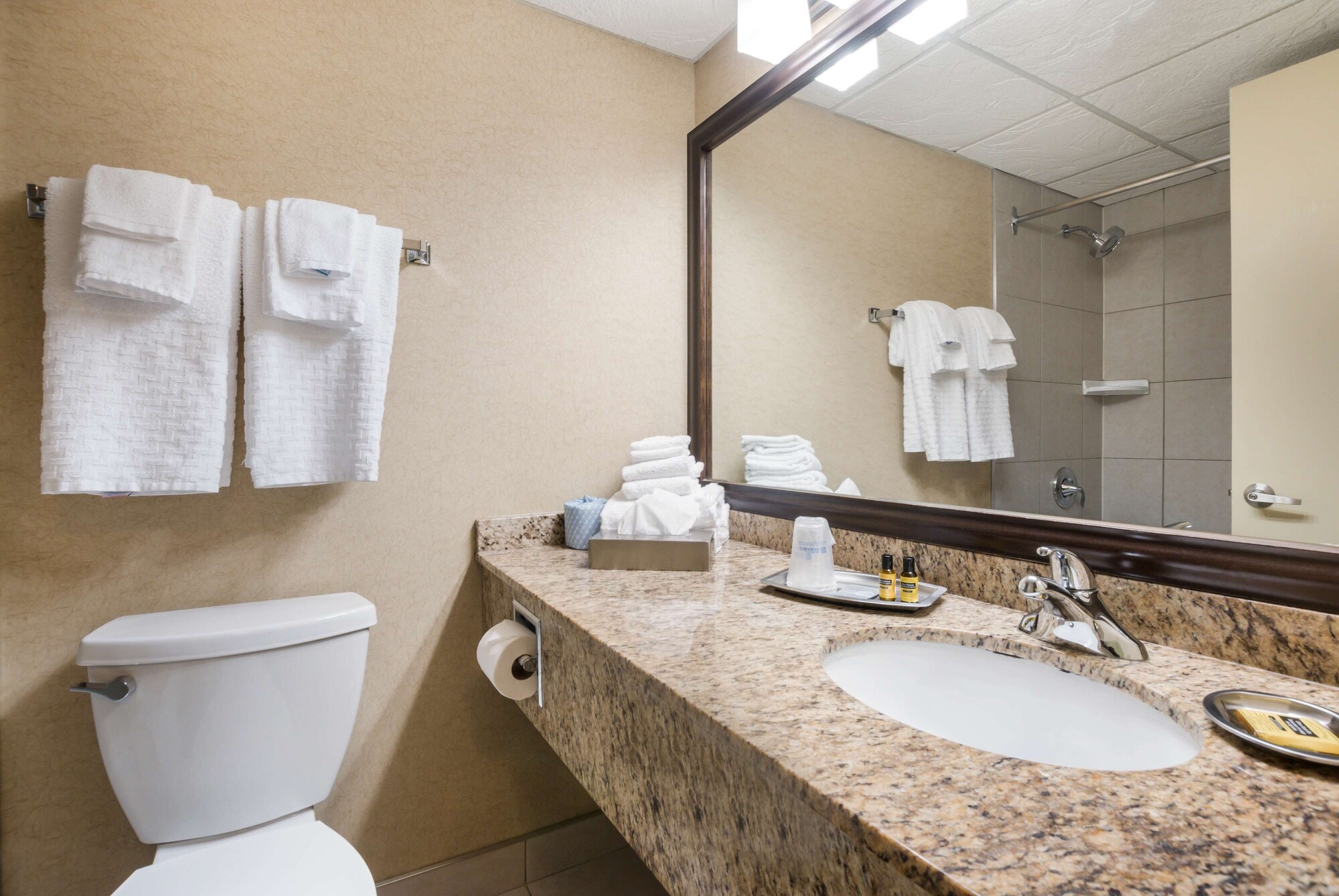 غرفة قياسية بسريرين مزدوجين، Best Western Plus Norwester Hotel and Conference Centre 7/8