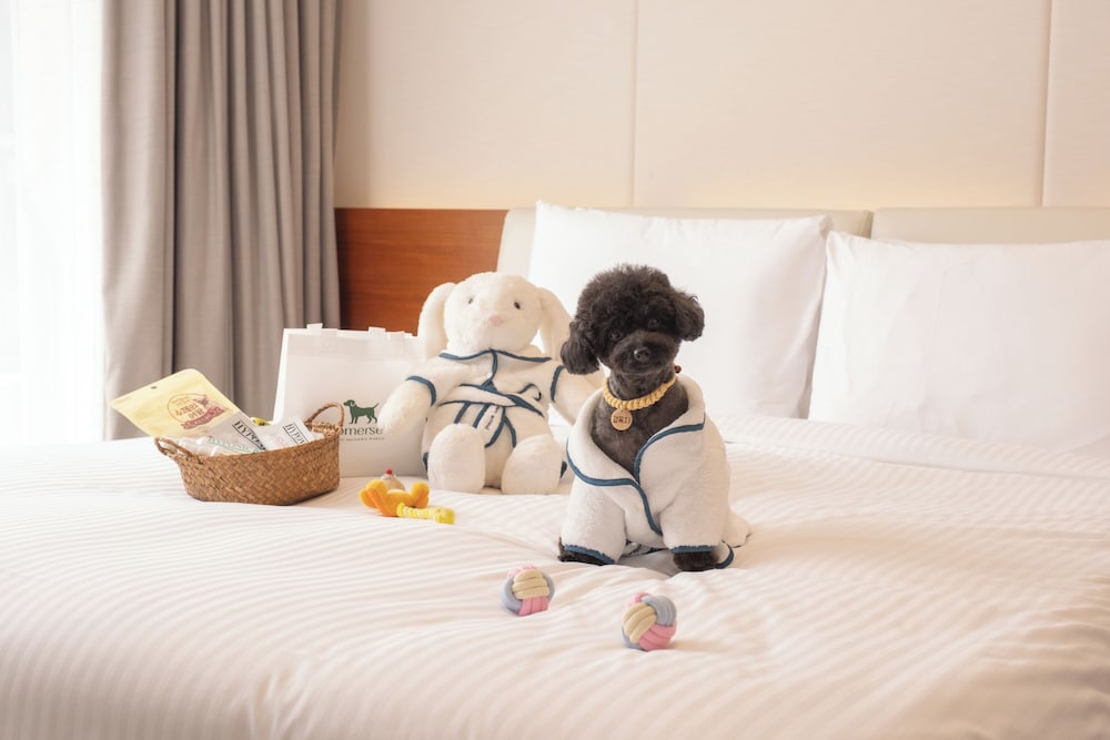ROOM, PET FRIENDLY
