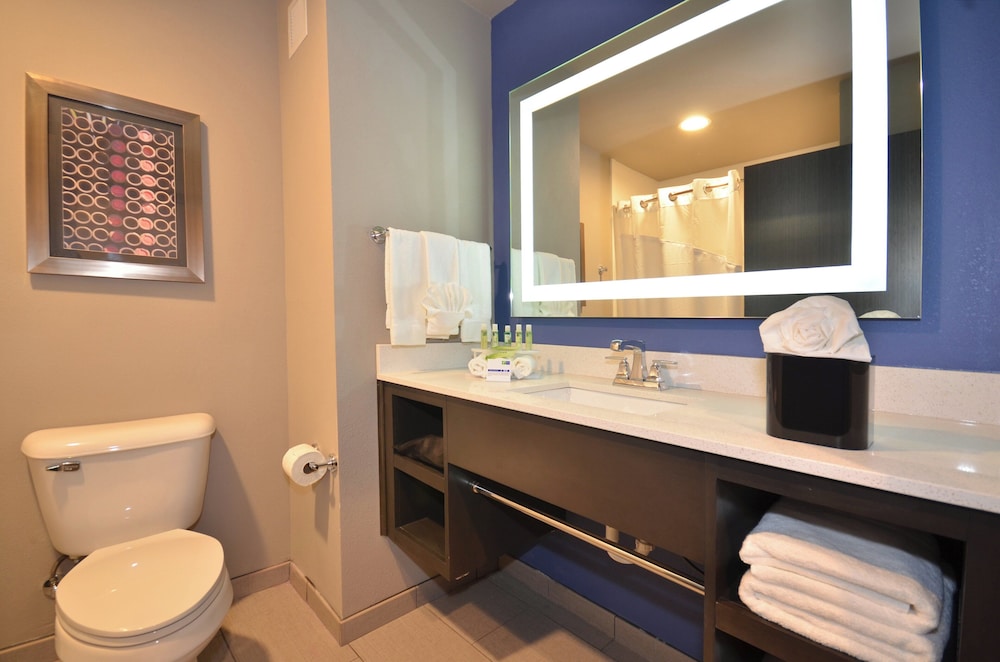 جناح بسرير كينج لذوي الإعاقة، Holiday Inn Express & Suites Oklahoma City Mid - Arpt Area 4/4