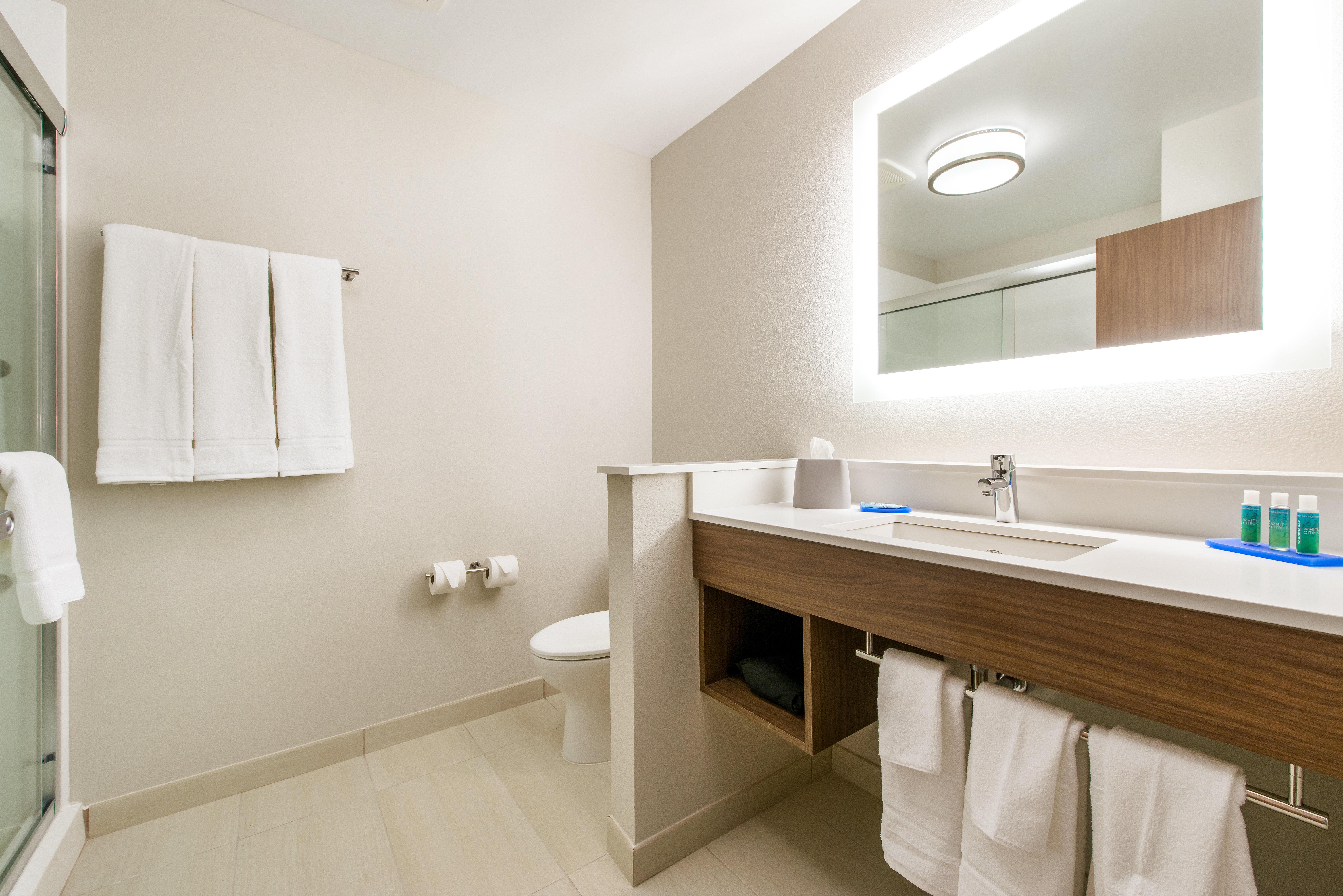 Holiday Inn Express Suites Carrollton West 27/29