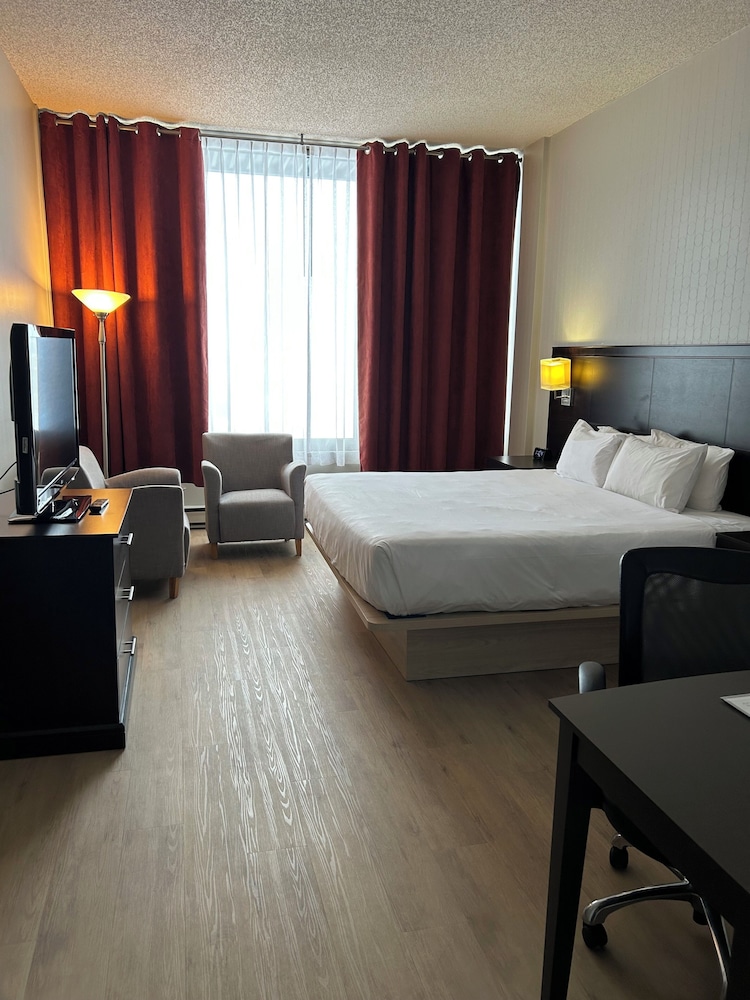 Executive, Suite, King Bed