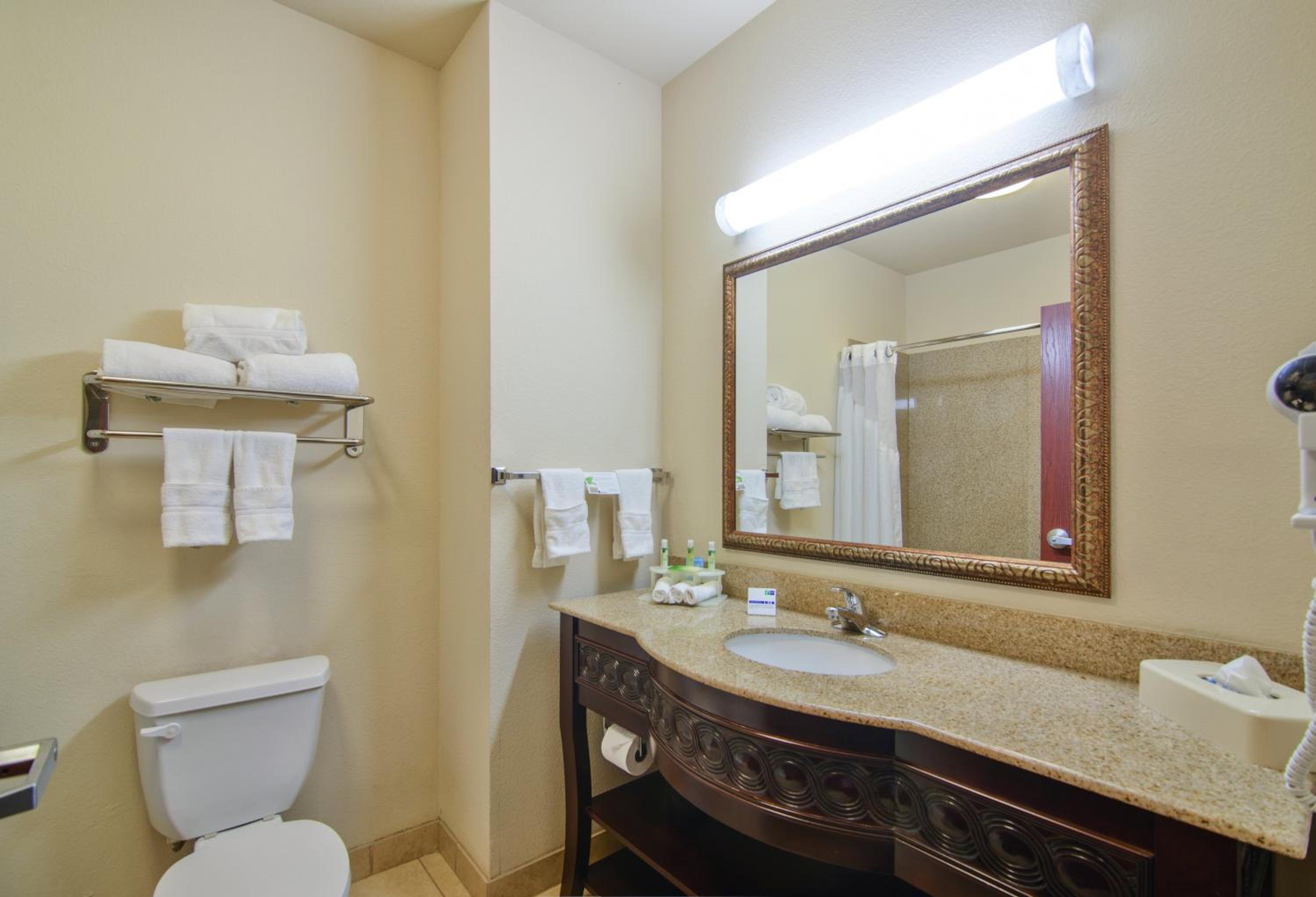 Suite, Queen Bed, Sofa, Holiday Inn Express Hotel Suites Terrell 3/4