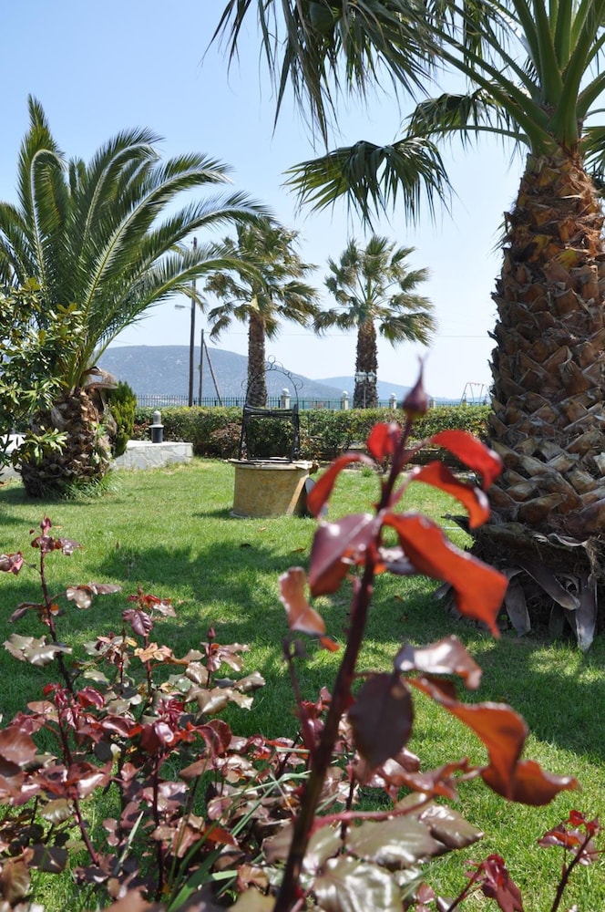 Ariadnes Holiday Accommodation I 50/50