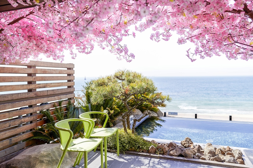 Paradise Hotel Busan 70/75