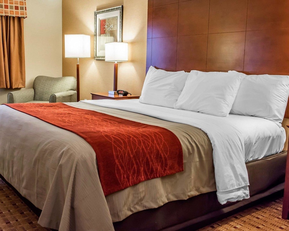 Comfort Inn & Suites Franklin East 15/47
