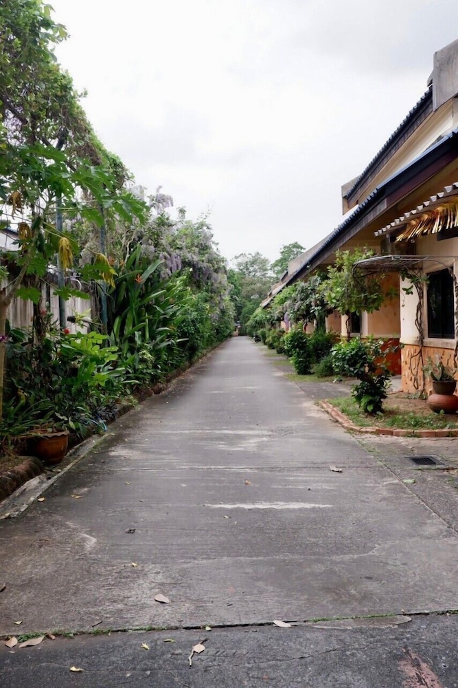 Palm Chalet Resort 37/50
