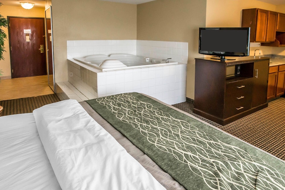 Econo Lodge Inn & Suites Monroe, MI 8/36