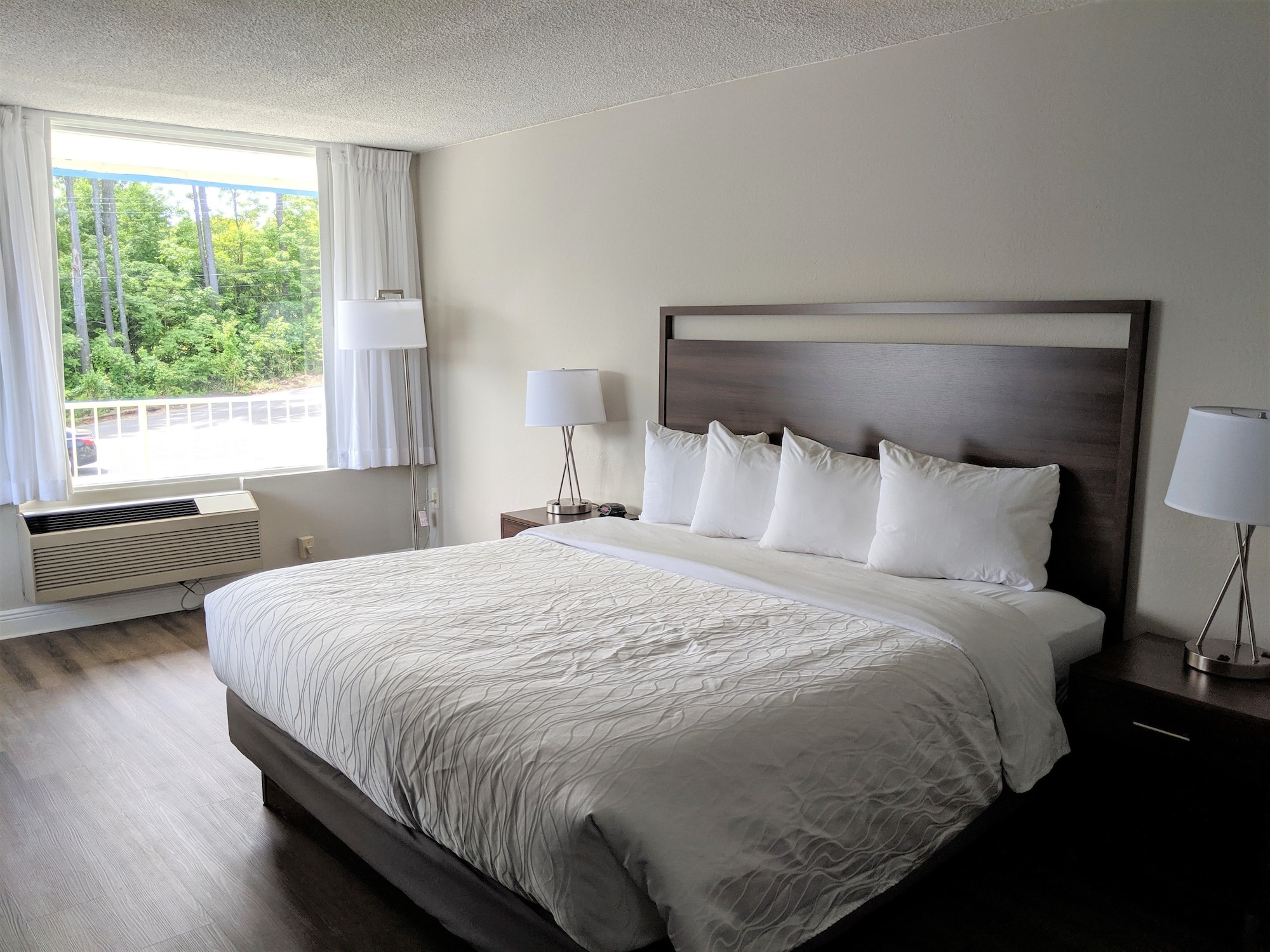 ROOM, KING BED, LAKE VIEW