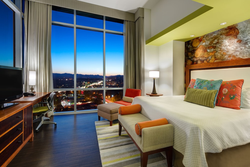 Hotel Indigo Asheville Downtown 49/73