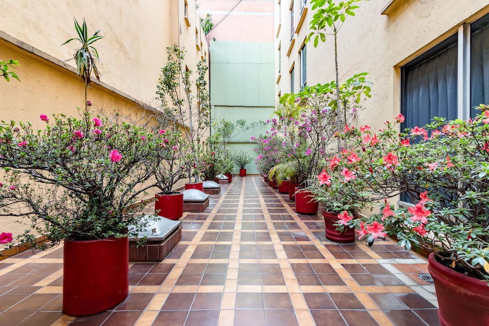 OYO Hotel Hidalgo 22/23
