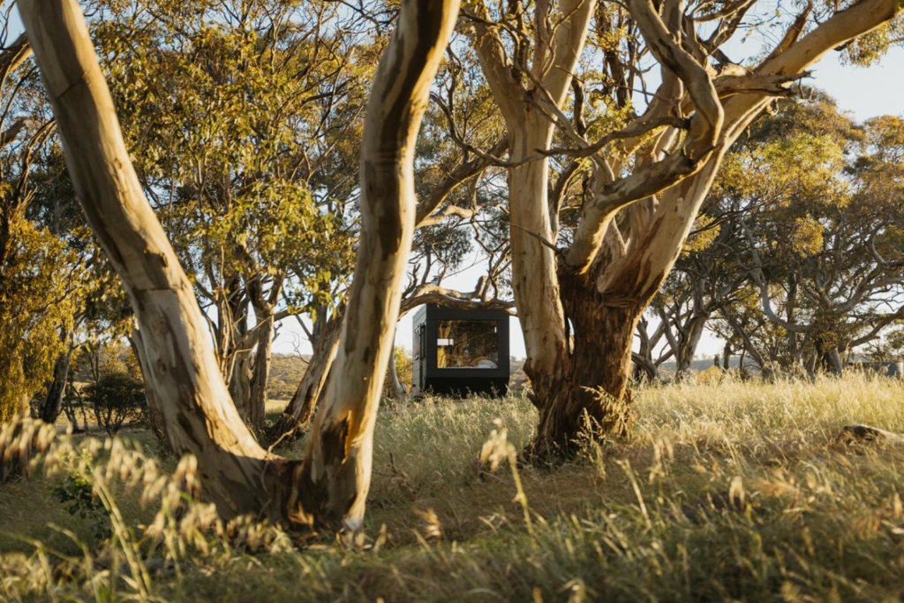 CABN Clare Valley 14/19
