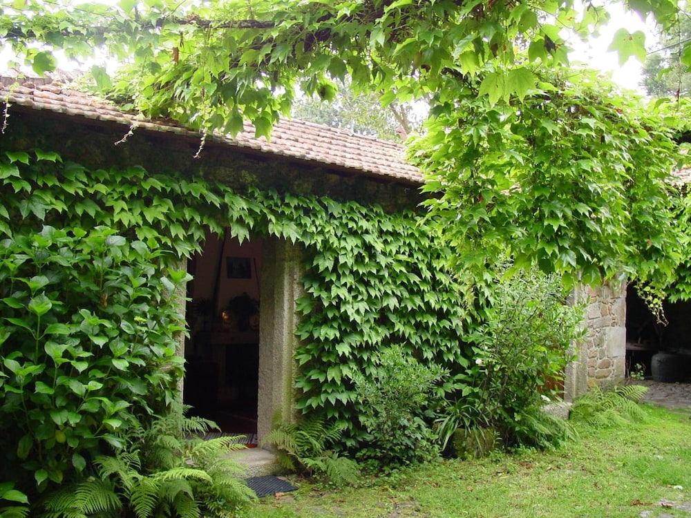 surroundings