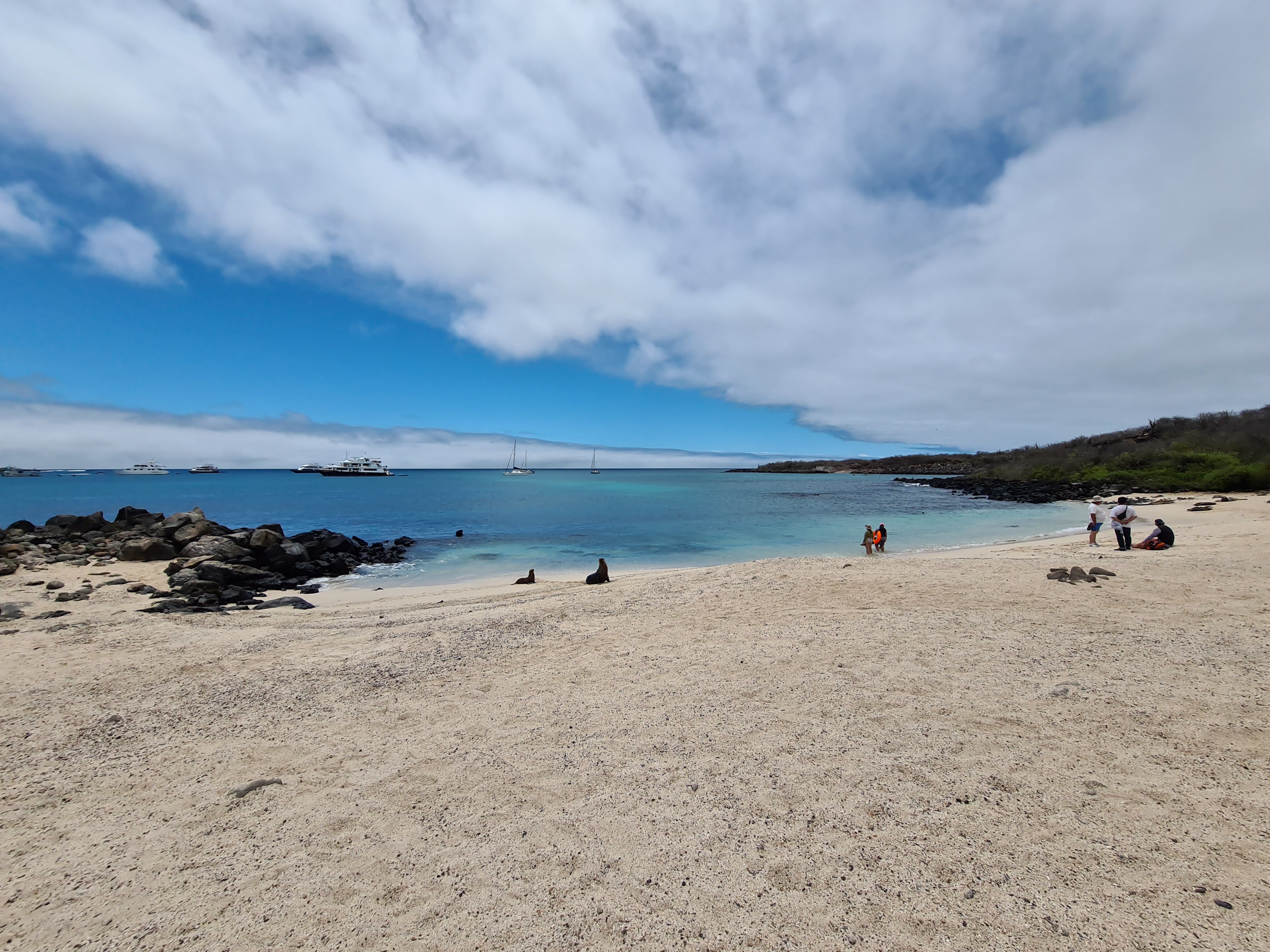 Hotel Indigo Galapagos, an IHG Hotel 46/50