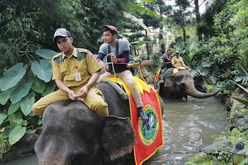 Royal Safari Garden Resort & Convention 61/67
