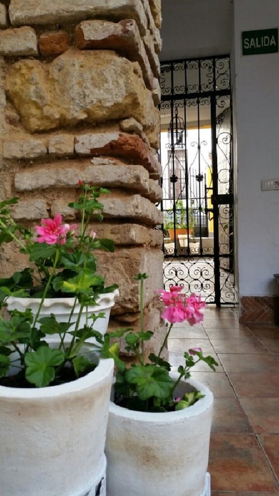 Casa de los Naranjos 5/34