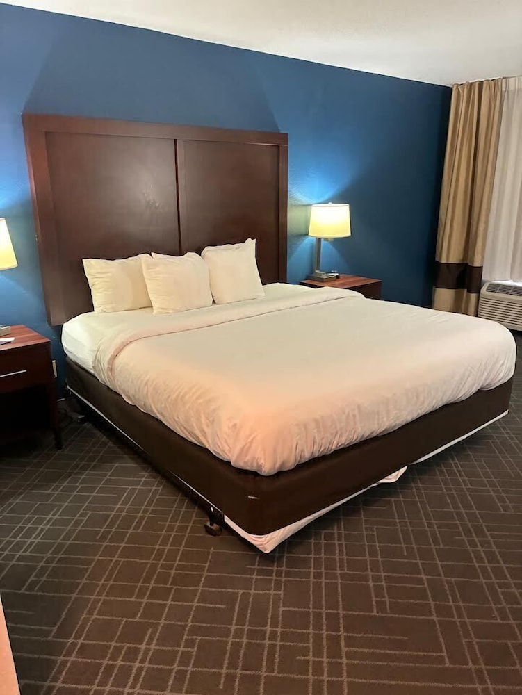 ROOM, KING BED, ACCESSIBLE