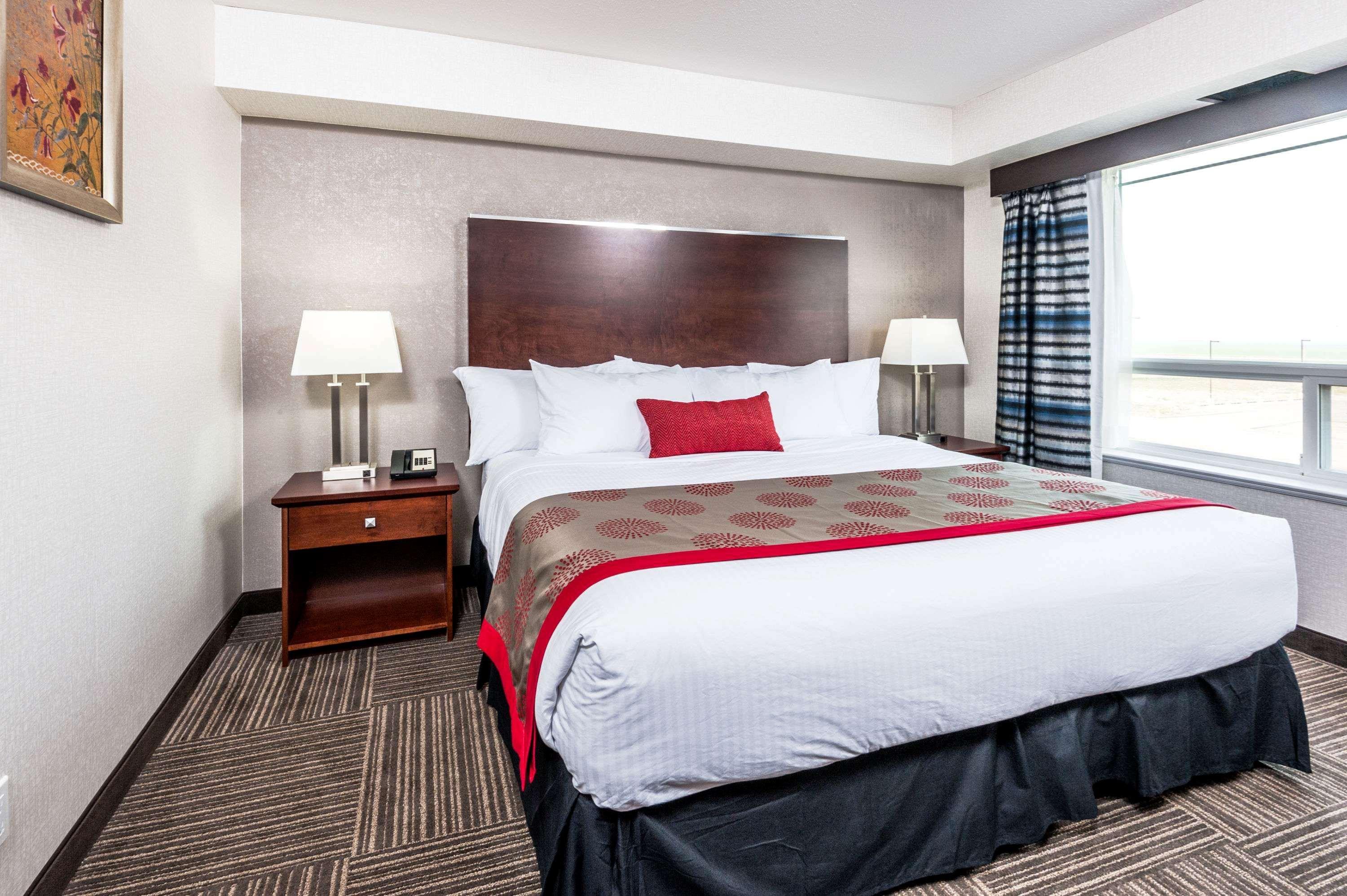 Suite, King Bed