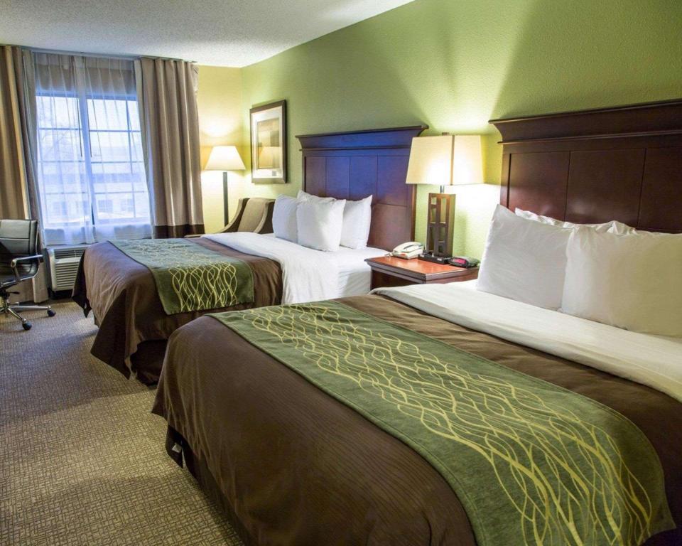 ROOM, 1 KING AND 2 QUEEN BEDS