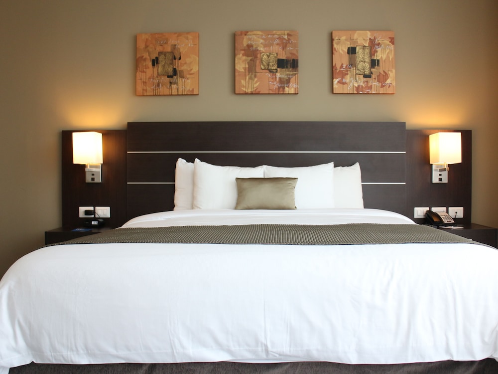 Tryp By Wyndham Panama Centro 20/62
